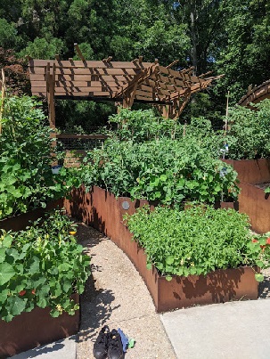 Productive Garden at the State Botanical Garden of Georgia