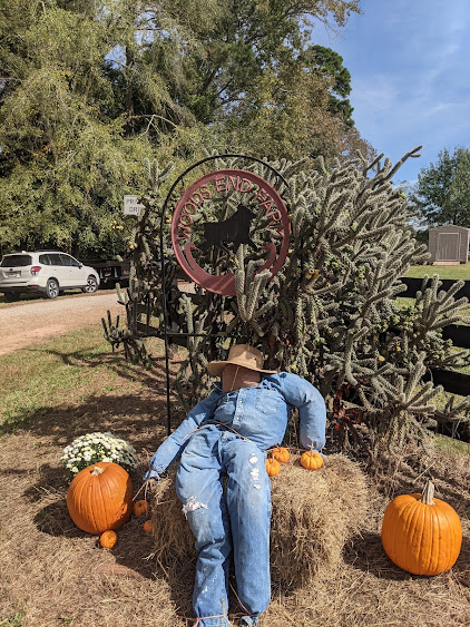 Woods End Farm in Watkinsville